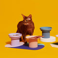 Load image into Gallery viewer, Purrre - Elevated Party Bowl
