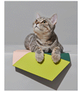 Load image into Gallery viewer, Purrre - Pet Food Mat'e'
