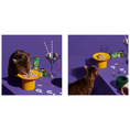 Load image into Gallery viewer, Purrre - Elevated Party Bowl
